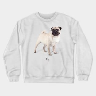 Pug Crewneck Sweatshirt